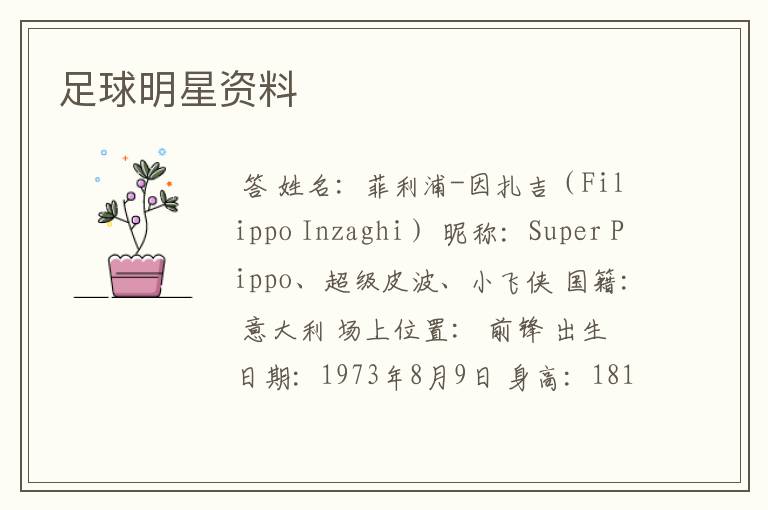 足球明星资料