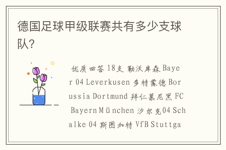 德国足球甲级联赛共有多少支球队?