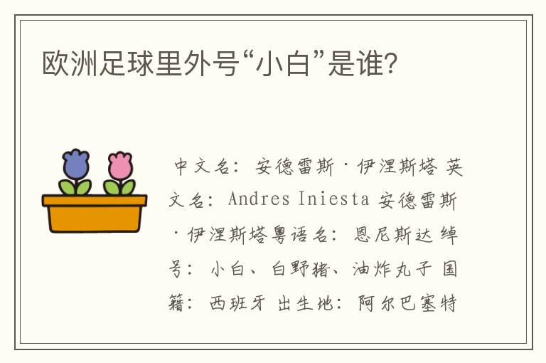 欧洲足球里外号“小白”是谁?