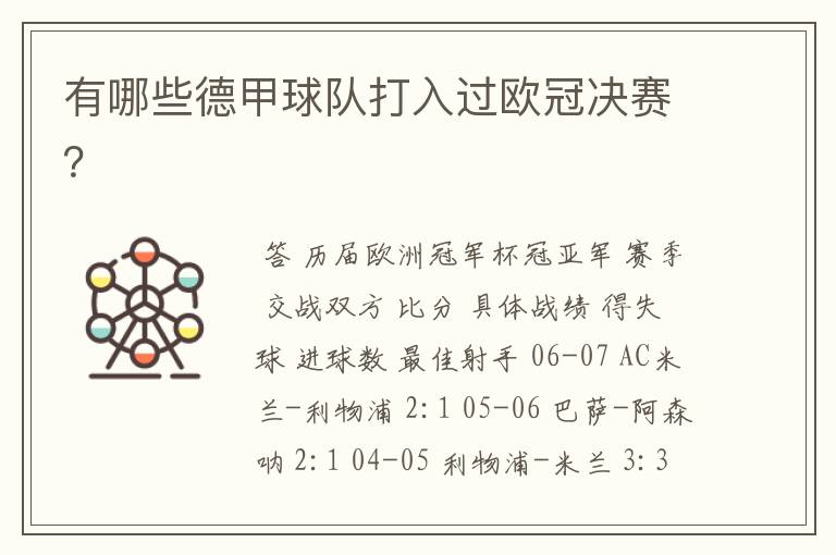 有哪些德甲球队打入过欧冠决赛?