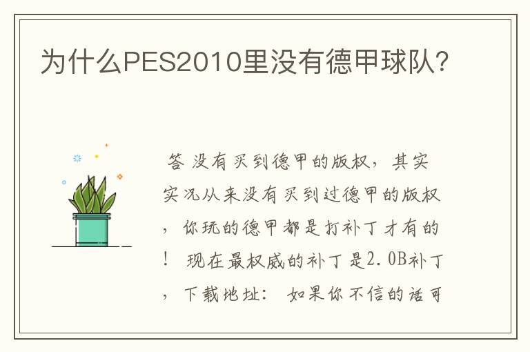 为什么PES2010里没有德甲球队?