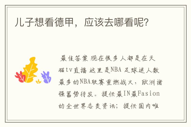 儿子想看德甲,应该去哪看呢?