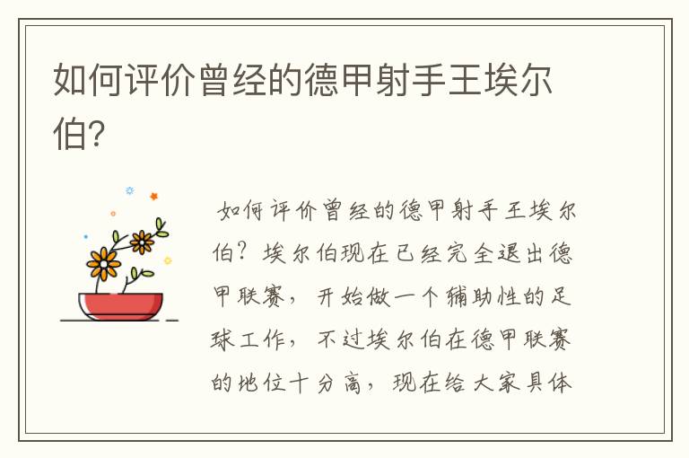 如何评价曾经的德甲射手王埃尔伯？