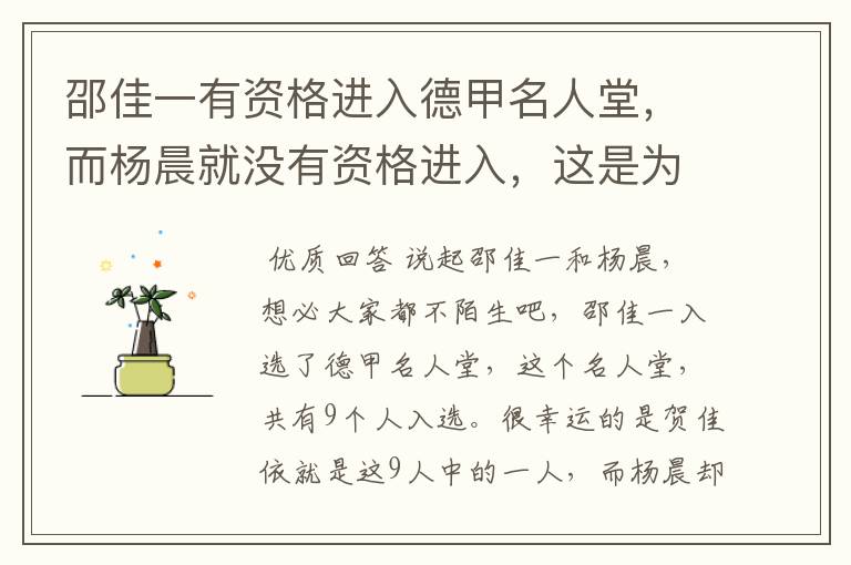 邵佳一有资格进入德甲名人堂,而杨晨就没有资格进入,这是为何?
