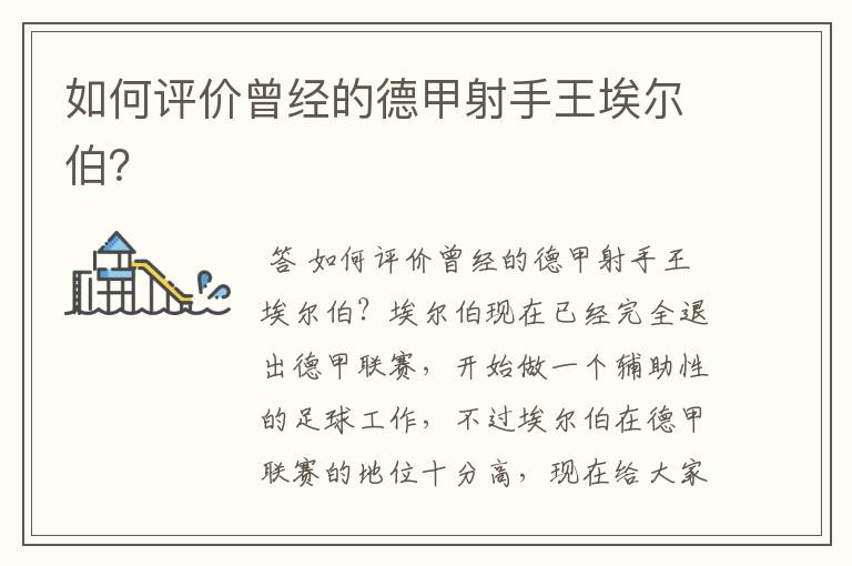 如何评价曾经的德甲射手王埃尔伯?