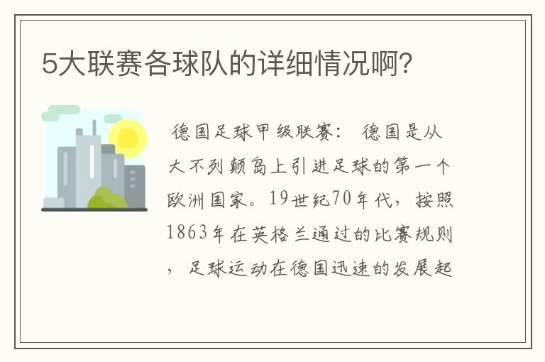 5大联赛各球队的详细情况啊？