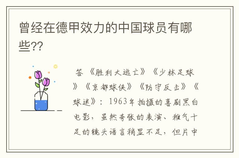 曾经在德甲效力的中国球员有哪些??