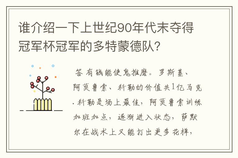 谁介绍一下上世纪90年代末夺得冠军杯冠军的多特蒙德队?