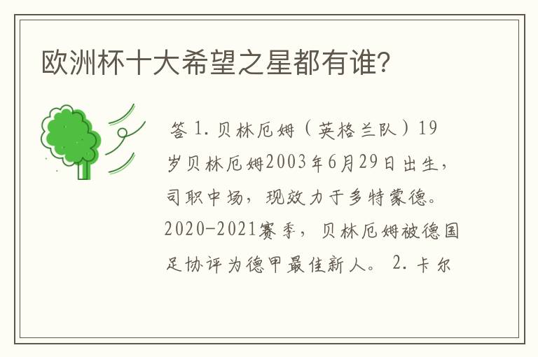 欧洲杯十大希望之星都有谁?