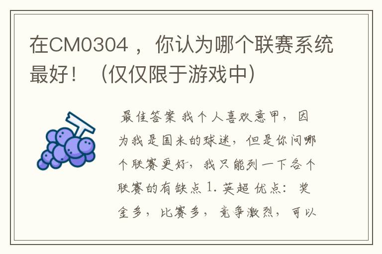 在CM0304 ，你认为哪个联赛系统最好！（仅仅限于游戏中）
