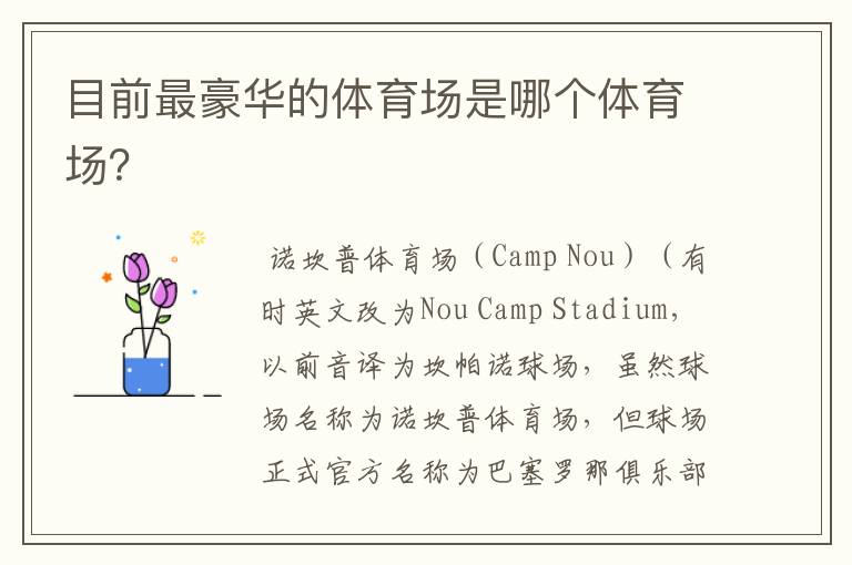目前最豪华的体育场是哪个体育场?