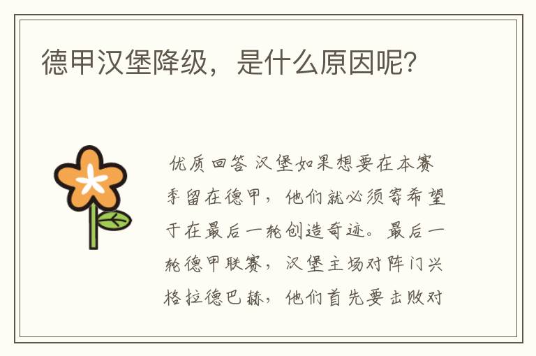 德甲汉堡降级,是什么原因呢?