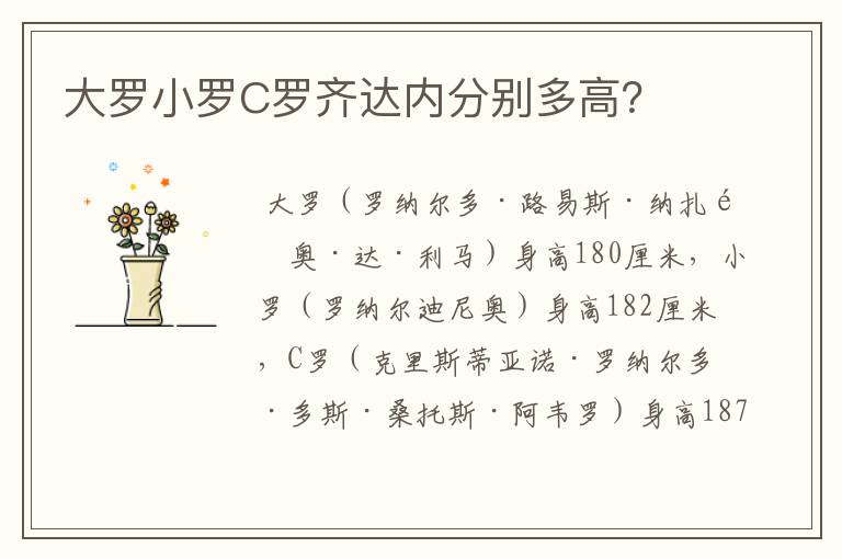大罗小罗C罗齐达内分别多高?