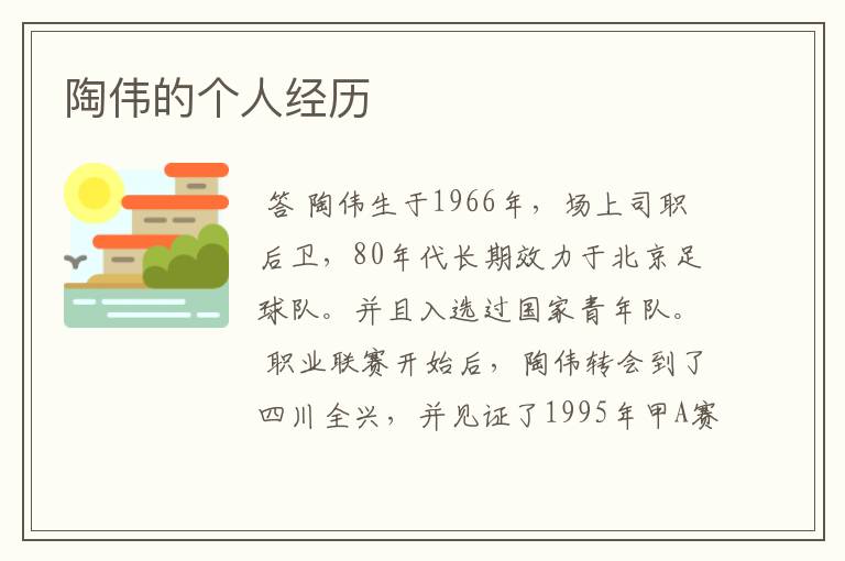 陶伟的个人经历