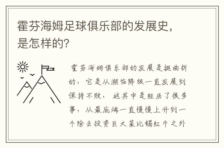 霍芬海姆足球俱乐部的发展史,是怎样的?