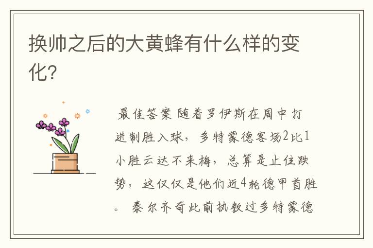 换帅之后的大黄蜂有什么样的变化?