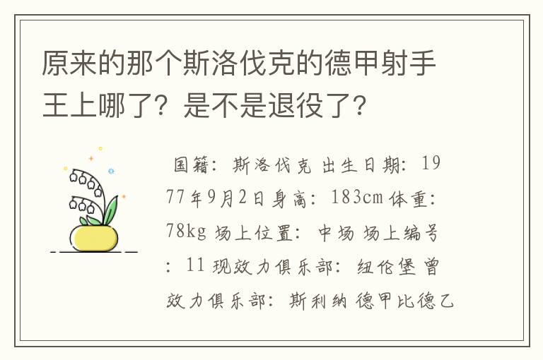 原来的那个斯洛伐克的德甲射手王上哪了?是不是退役了?