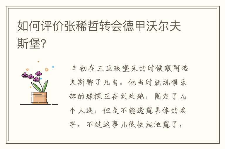 如何评价张稀哲转会德甲沃尔夫斯堡?