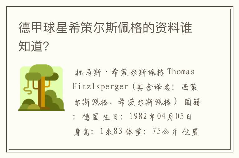 德甲球星希策尔斯佩格的资料谁知道?