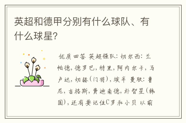 英超和德甲分别有什么球队、有什么球星?