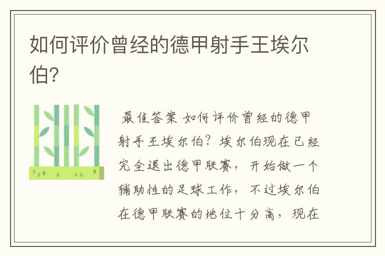 如何评价曾经的德甲射手王埃尔伯？