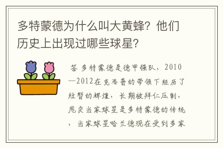 多特蒙德为什么叫大黄蜂?他们历史上出现过哪些球星?