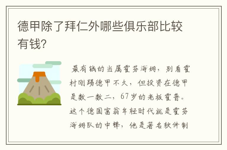 德甲除了拜仁外哪些俱乐部比较有钱?