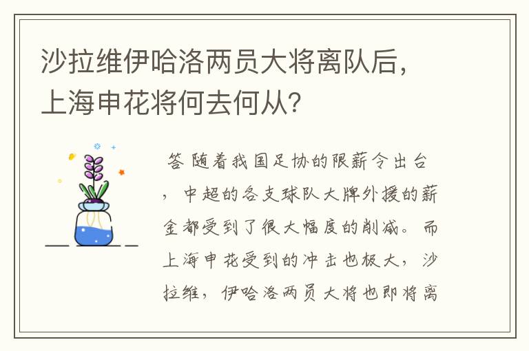沙拉维伊哈洛两员大将离队后,上海申花将何去何从?