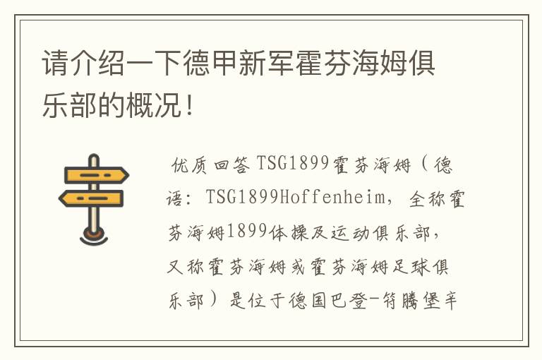 请介绍一下德甲新军霍芬海姆俱乐部的概况!