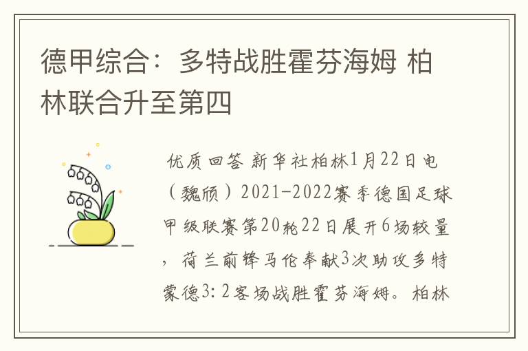 德甲综合:多特战胜霍芬海姆 柏林联合升至第四
