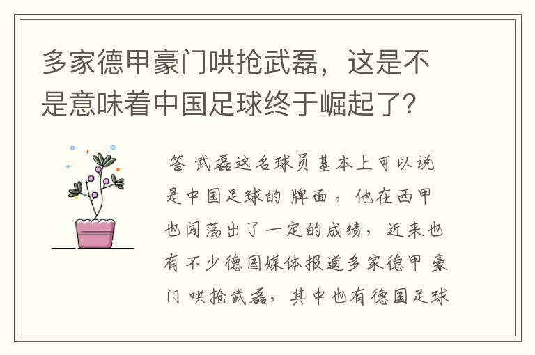 多家德甲豪门哄抢武磊，这是不是意味着中国足球终于崛起了？