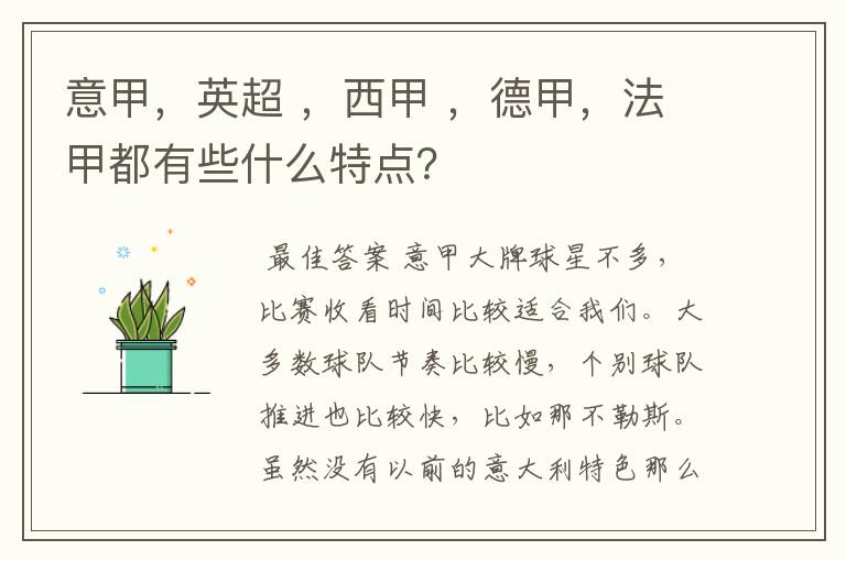 意甲,英超 ,西甲 ,德甲,法甲都有些什么特点?