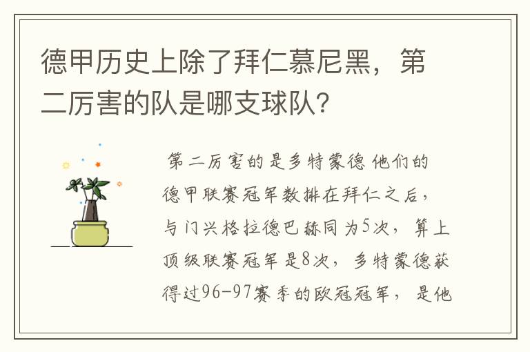 德甲历史上除了拜仁慕尼黑,第二厉害的队是哪支球队?