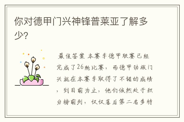 你对德甲门兴神锋普莱亚了解多少?
