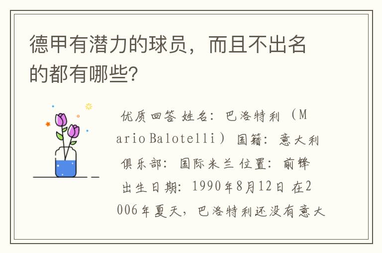 德甲有潜力的球员,而且不出名的都有哪些?