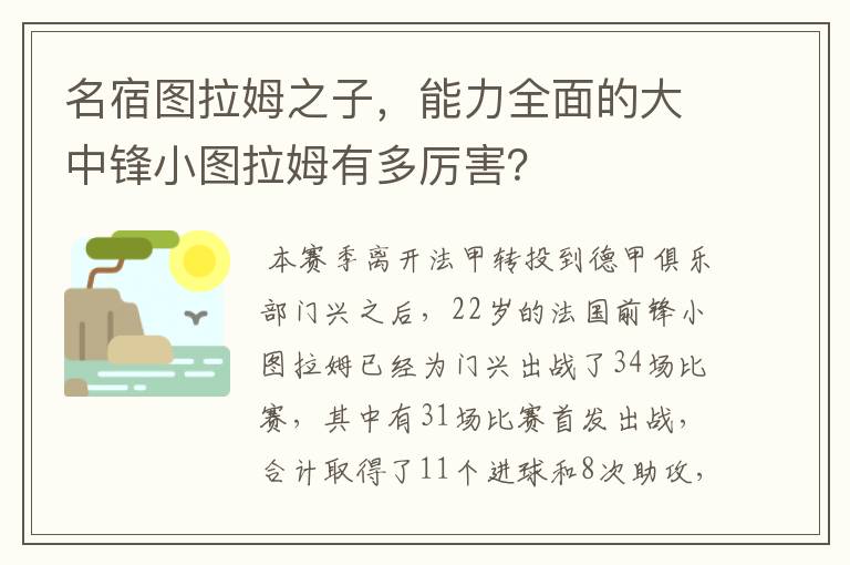 名宿图拉姆之子,能力全面的大中锋小图拉姆有多厉害?