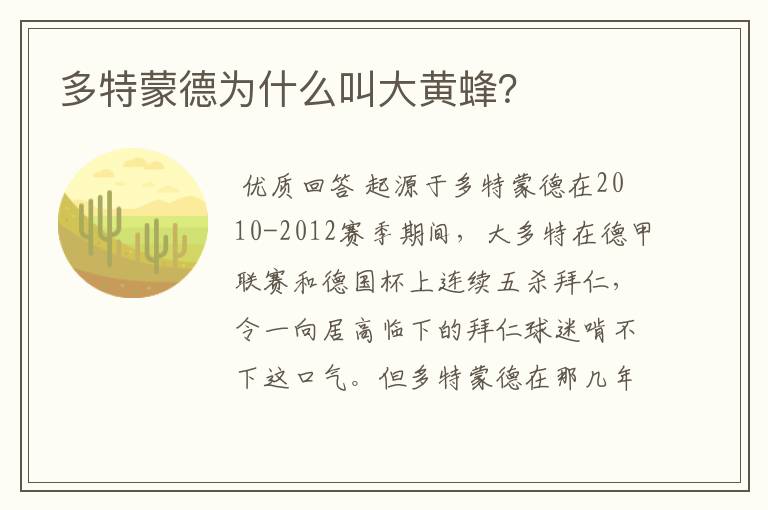 多特蒙德为什么叫大黄蜂?