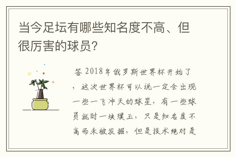 当今足坛有哪些知名度不高、但很厉害的球员?