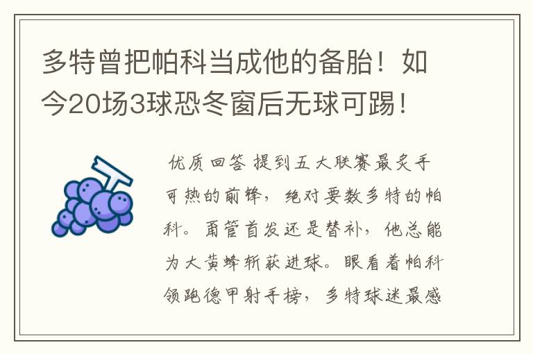 多特曾把帕科当成他的备胎!如今20场3球恐冬窗后无球可踢!