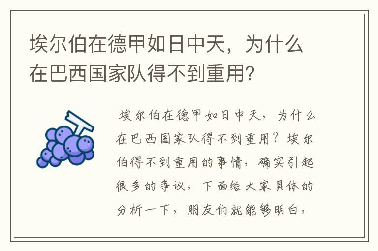 埃尔伯在德甲如日中天,为什么在巴西国家队得不到重用?
