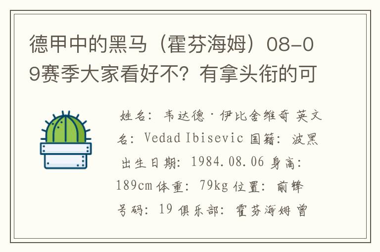 德甲中的黑马(霍芬海姆)08-09赛季大家看好不?有拿头衔的可能吗?