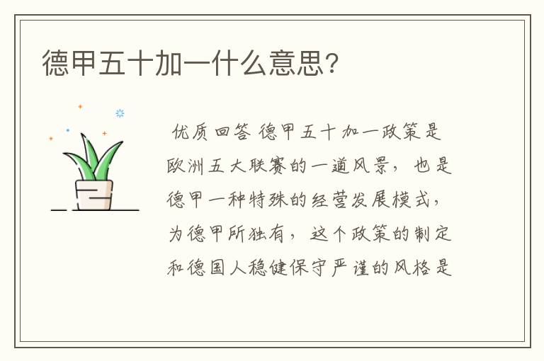 德甲五十加一什么意思?