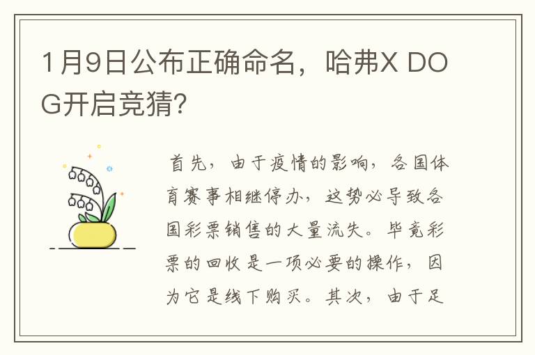 1月9日公布正确命名,哈弗X DOG开启竞猜?