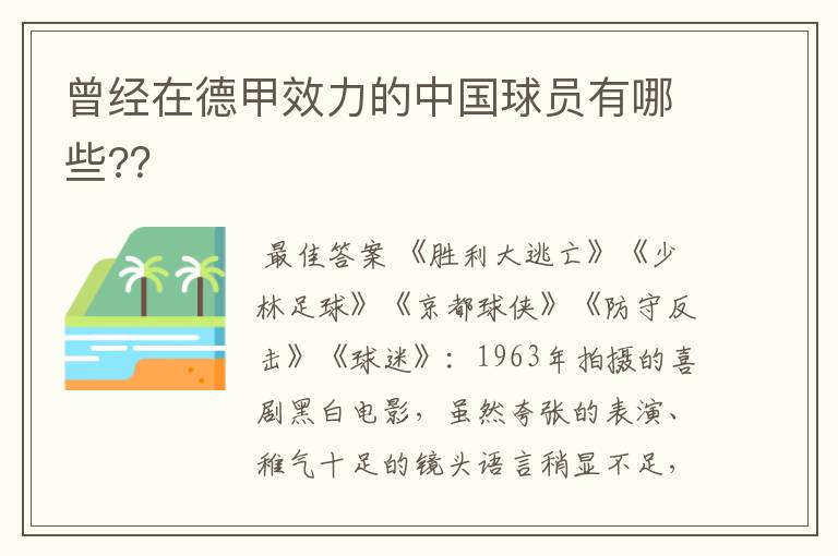 曾经在德甲效力的中国球员有哪些??