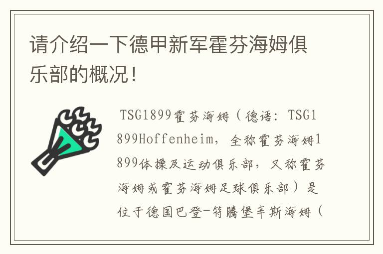 请介绍一下德甲新军霍芬海姆俱乐部的概况!