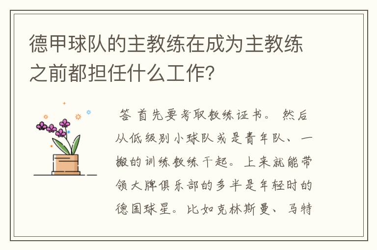德甲球队的主教练在成为主教练之前都担任什么工作?