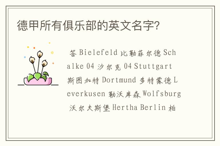 德甲所有俱乐部的英文名字?