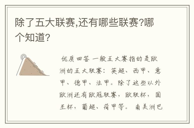 除了五大联赛,还有哪些联赛?哪个知道?