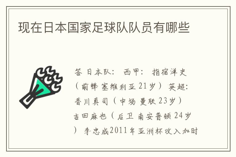 现在日本国家足球队队员有哪些