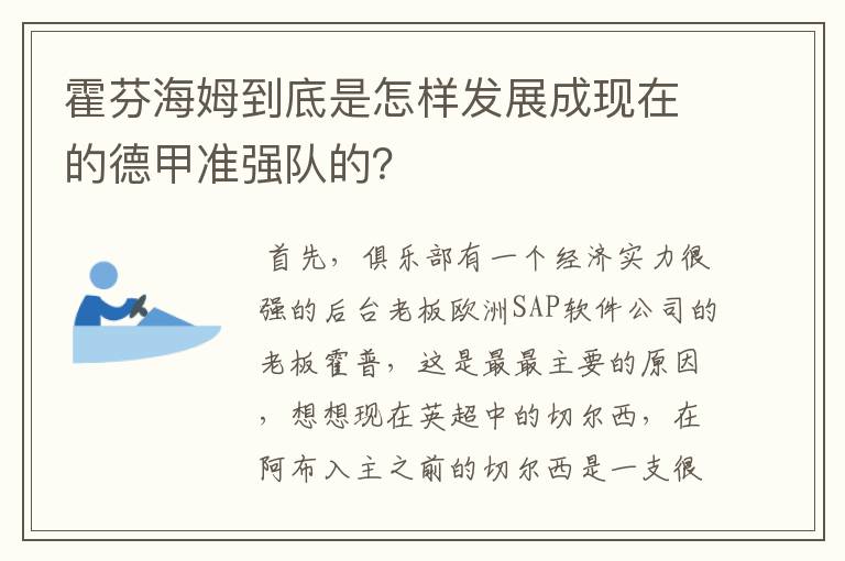 霍芬海姆到底是怎样发展成现在的德甲准强队的?
